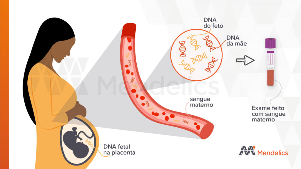 Imagem ilustrativa de como o DNA fetal pode ser encontrado na corrente sanguínea da mãe gestante.
