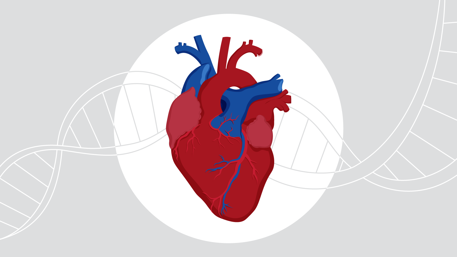Coração e um DNA (Cardiogenética)