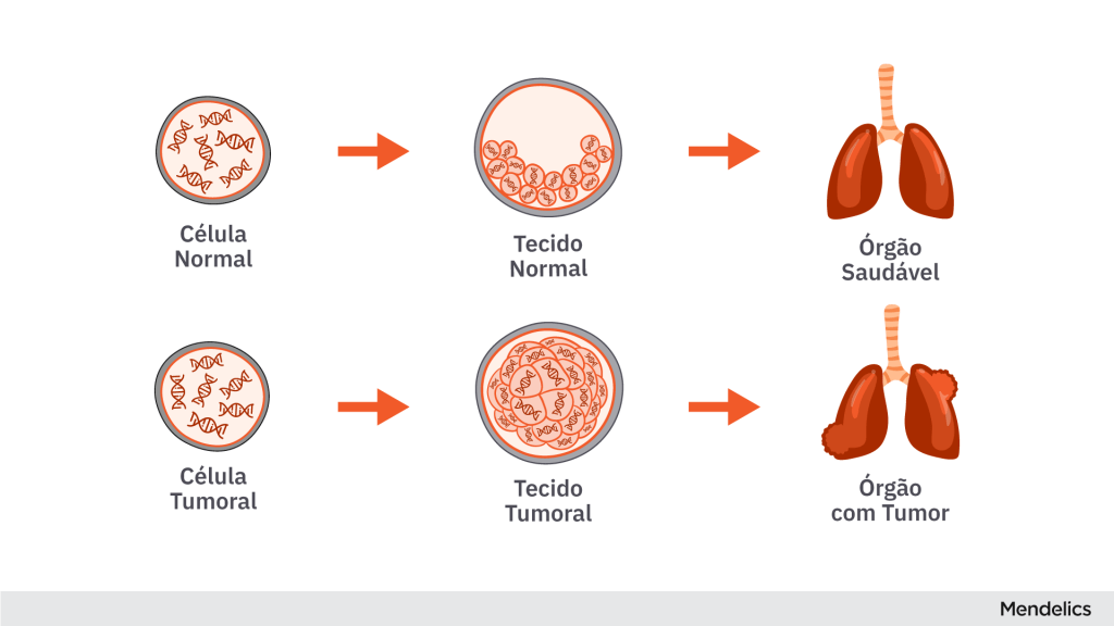 Imagem mostrando a diferença na multiplicação celular do tecido normal e do tecido canceroso
