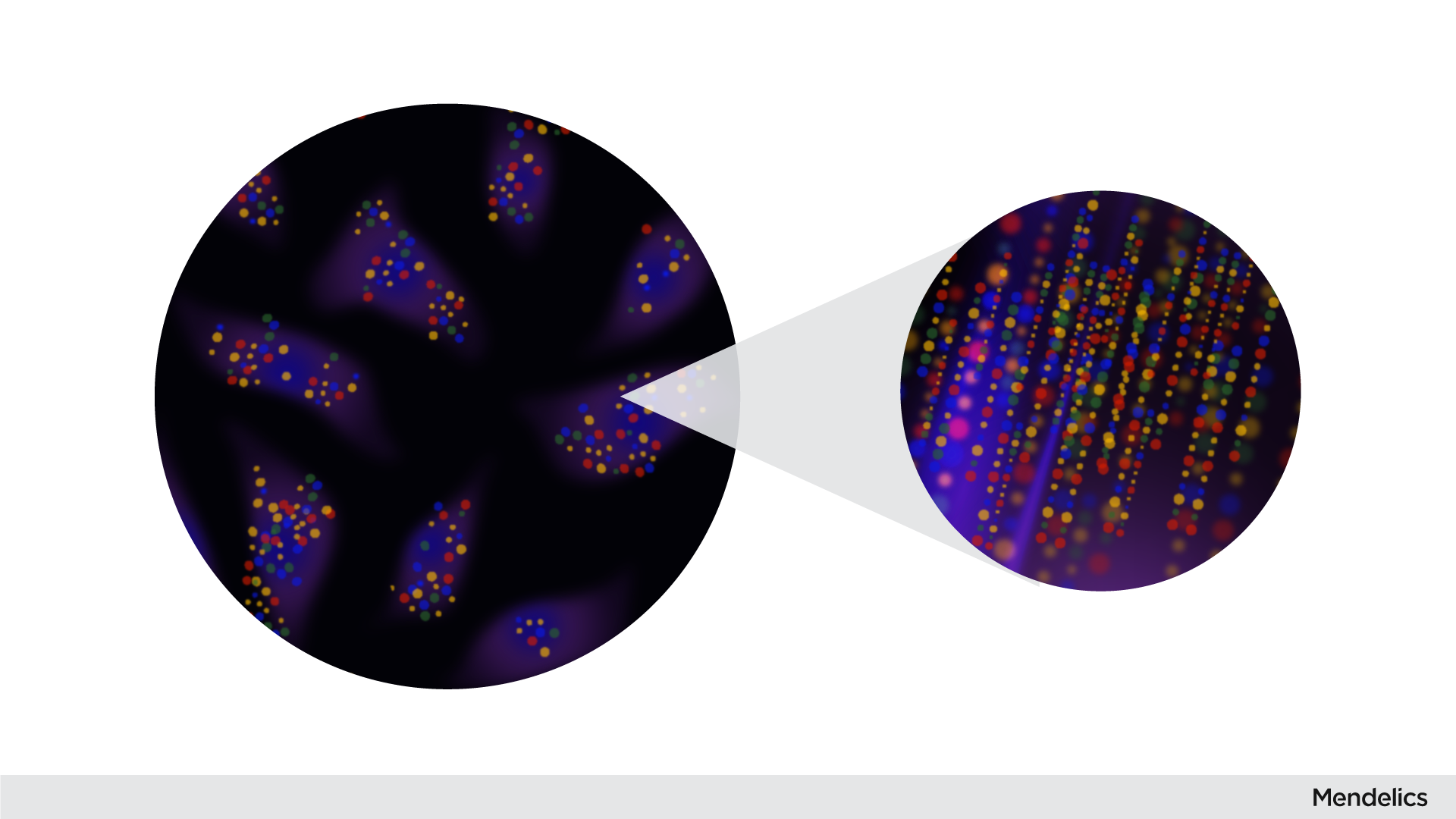 imagem ilustrativa do sequenciamento in situ: à esquerda estão as células fixadas e à direita um recorte das sequências sendo lidas