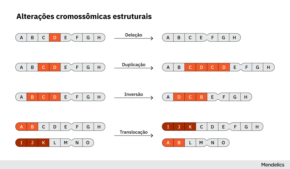 Tipos de alterações cromossômicas: glossário de genética IV - Blog ...