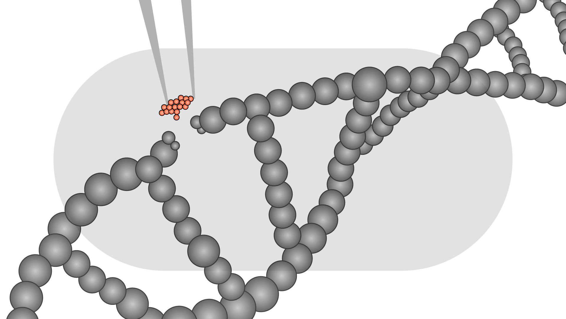 Representação de um DNA sendo editado com uma pinça